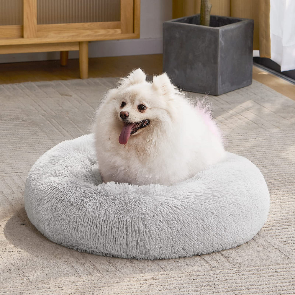 MIXJOY Orthopedic dog bed grey lifestyle image fitting modern decor