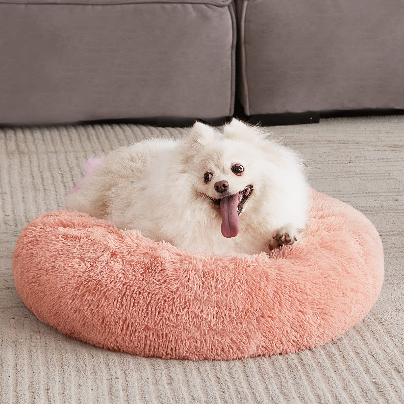 MIXJOY pink color blends with home decor and pet styling.