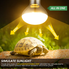 MIXJOY UVB UVA reptile bulb glow provides natural sun-like light for healthy skin and bones.