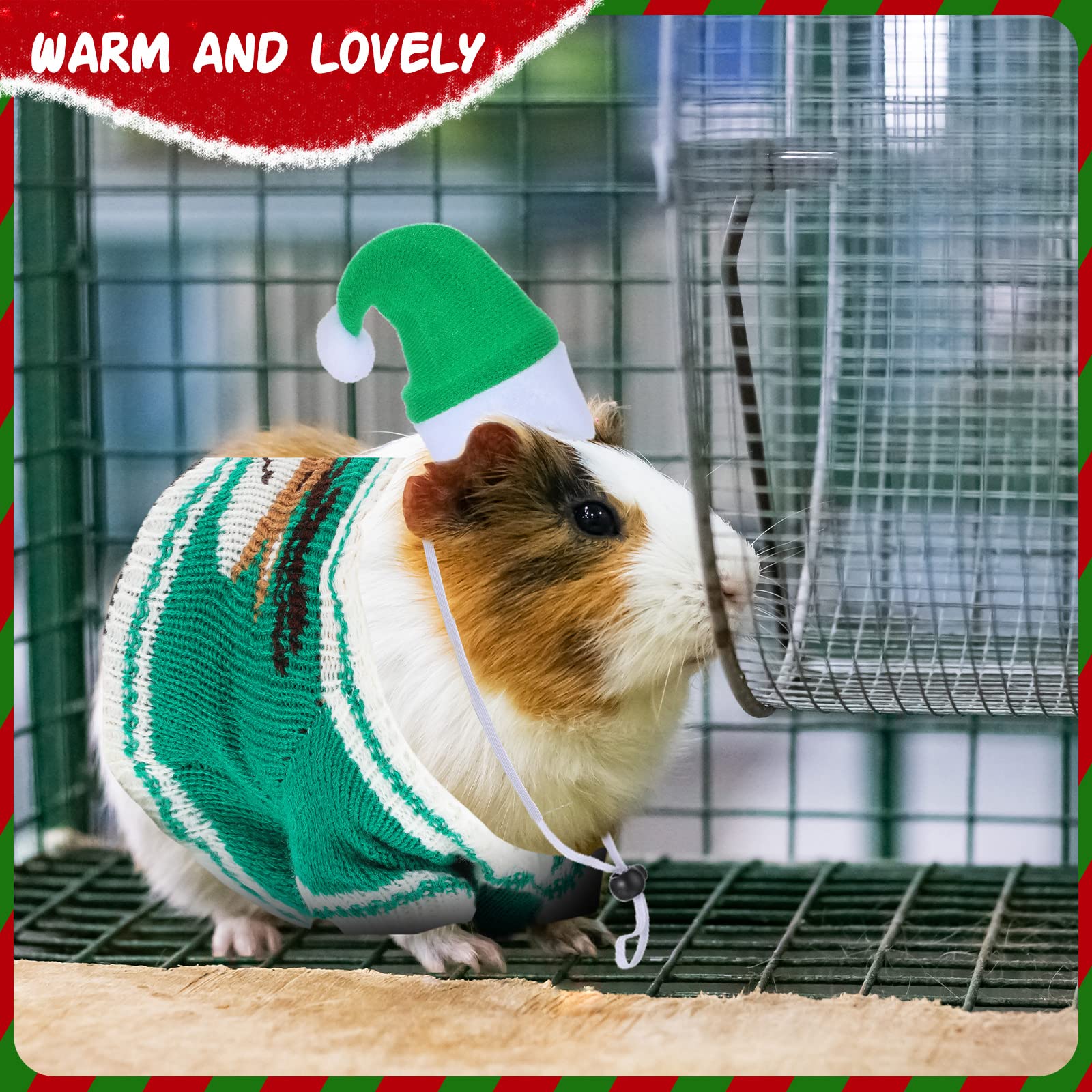 Mixweer adjustable-strap hat secured during active play for small pets.
