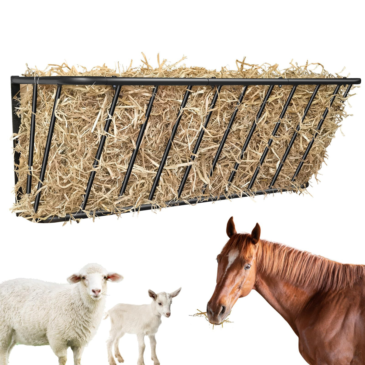 MIYABALA hay feeder top view highlights 20 gallon capacity for shared feeding