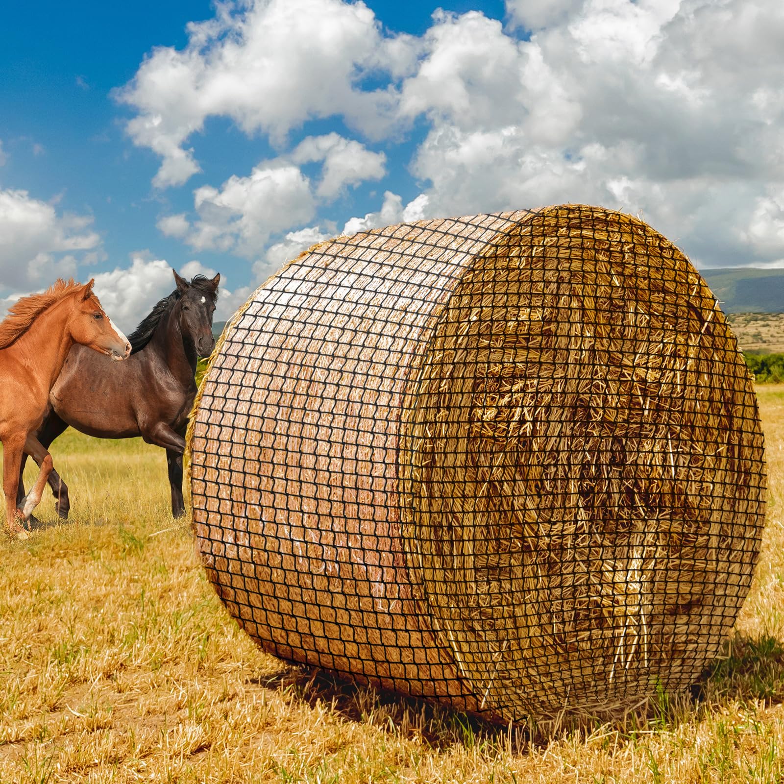 MIYABALA round bale hay net 5x5 ft in full view for spacious feeding