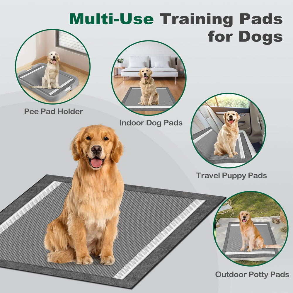 MIZOK FSC-certified materials ensure responsible sourcing in pet care products.