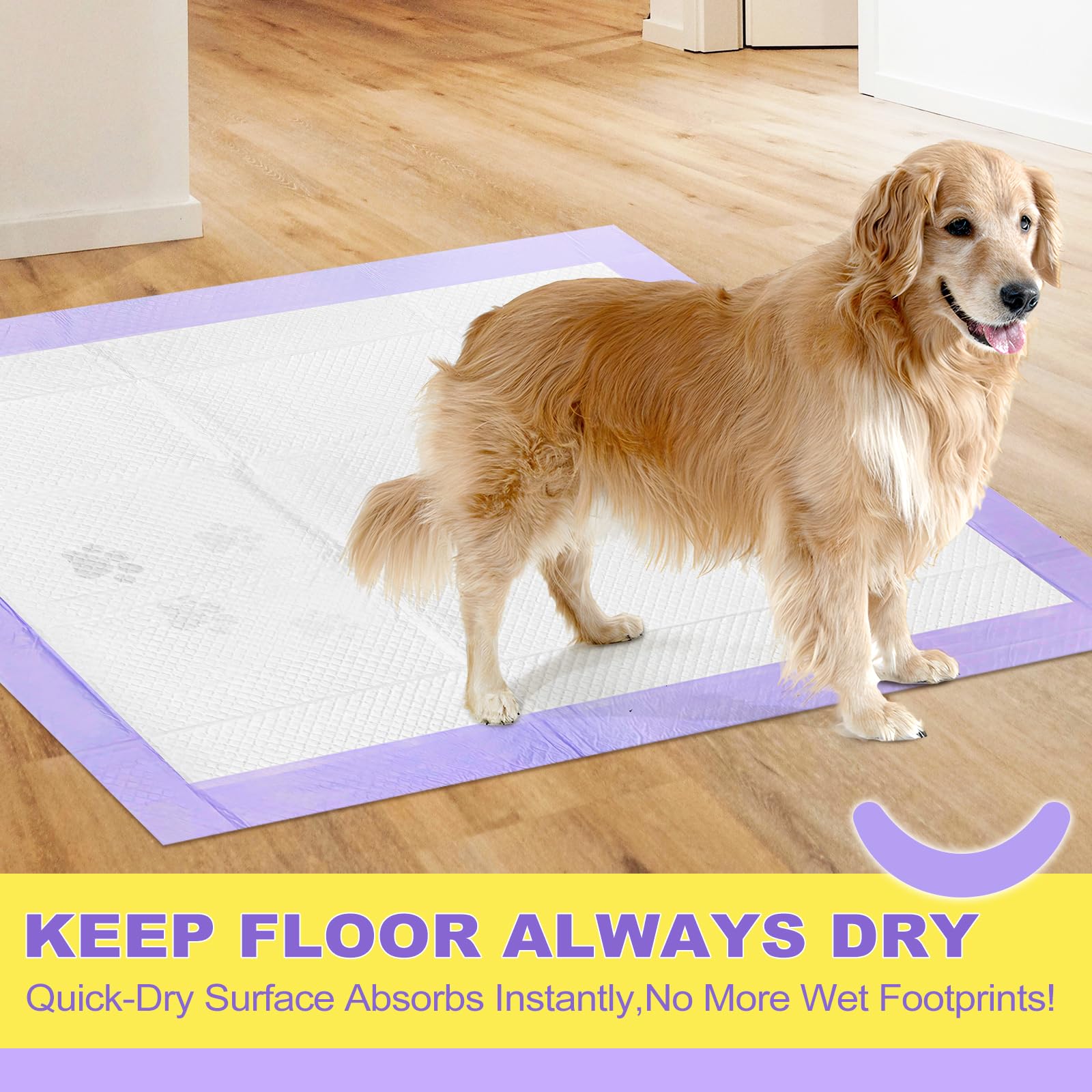 MIZOK dog pee pad ideal for puppy training and seniors.