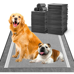 MIZOK large 28x34 pee pad laid out for home potty training and comfort.