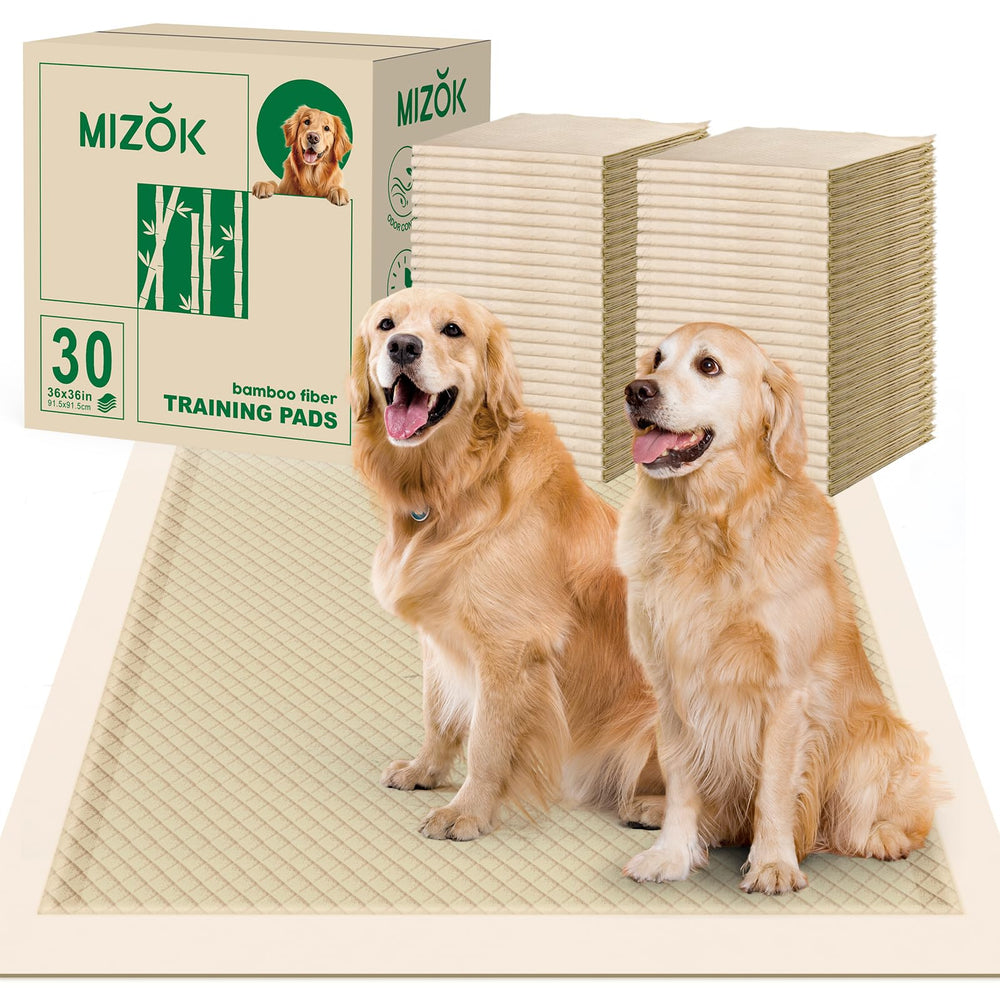 MIZOK pee pads 36x36 on floor offer a large training surface to protect floors