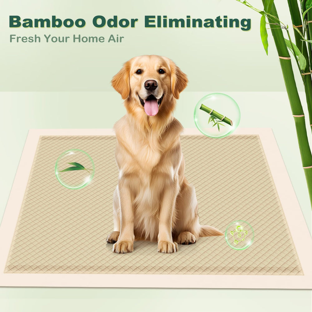 MIZOK quick-dry top layer shows fast absorption for a drier potty area