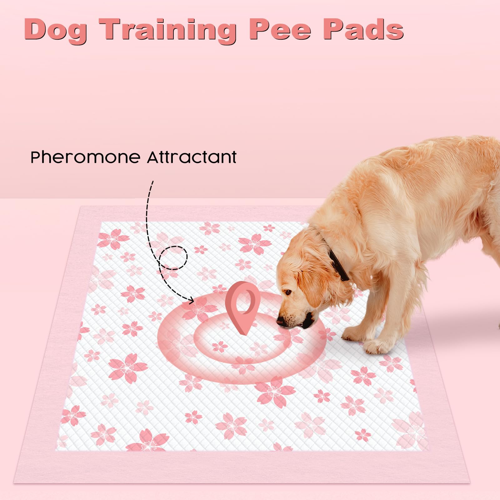 MIZOK pheromone attractant gently guides pets during potty training.