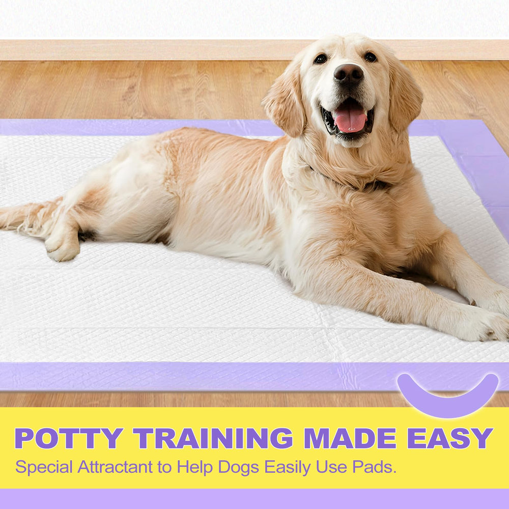 MIZOK Puppy Pads quick-dry feature supports faster cleanup