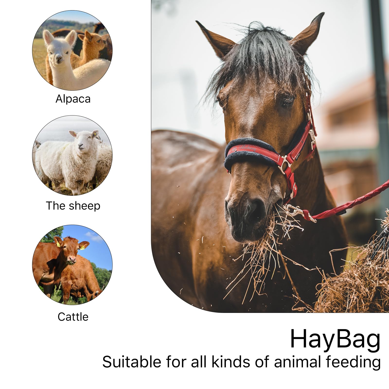 MJFSGYO easy fill hay net for quick setup and use.