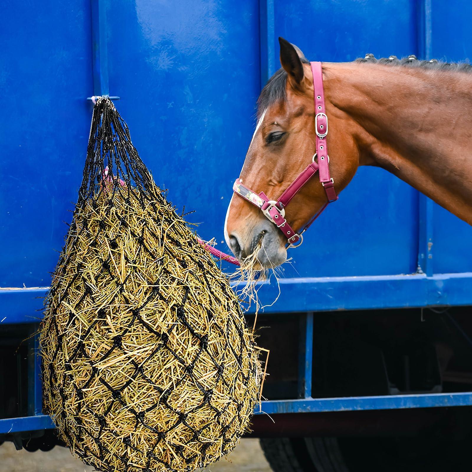MJFSGYO hay net mesh 2.36 inch squares support controlled intake.