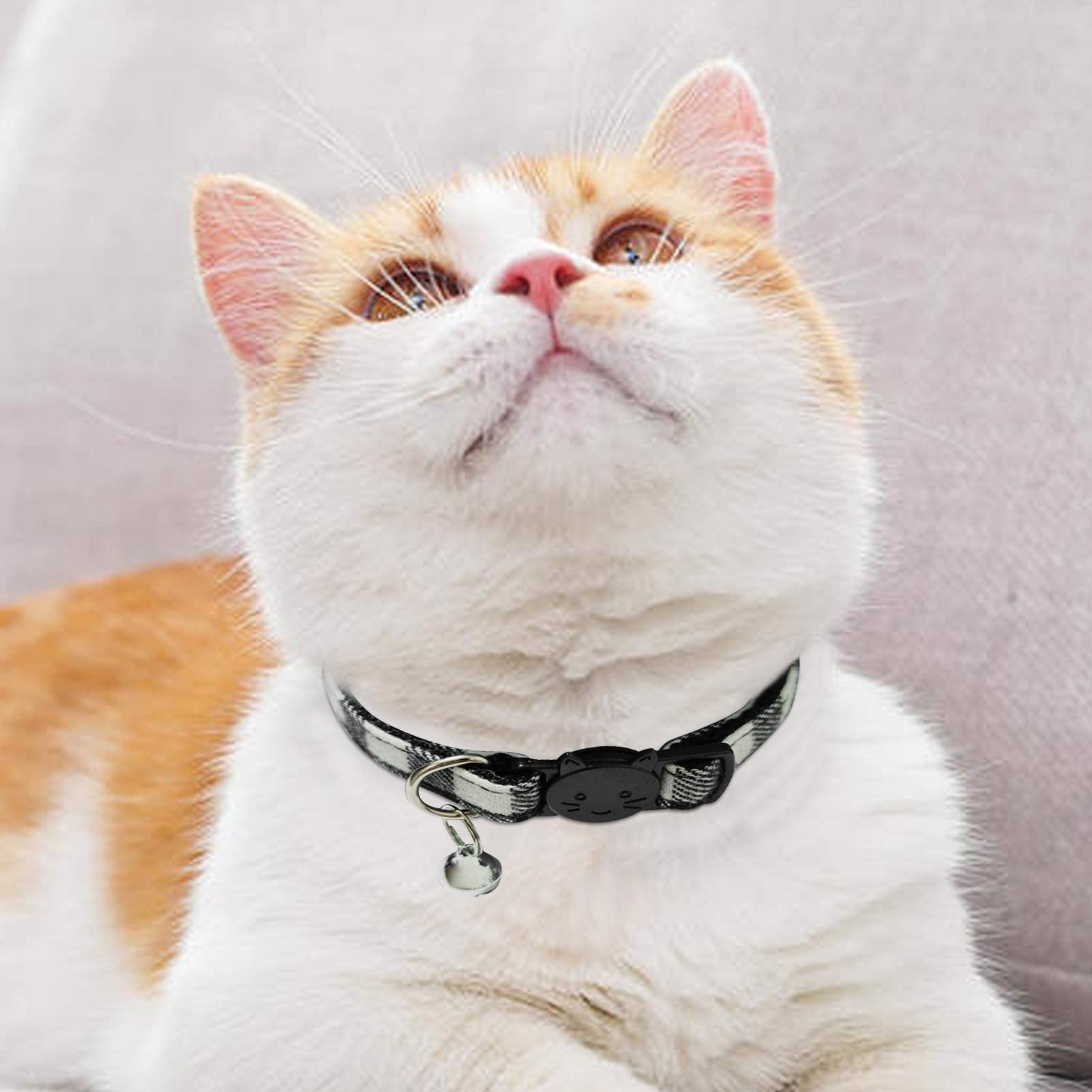 MJIYA collar packaging is gift-ready for cat lovers.