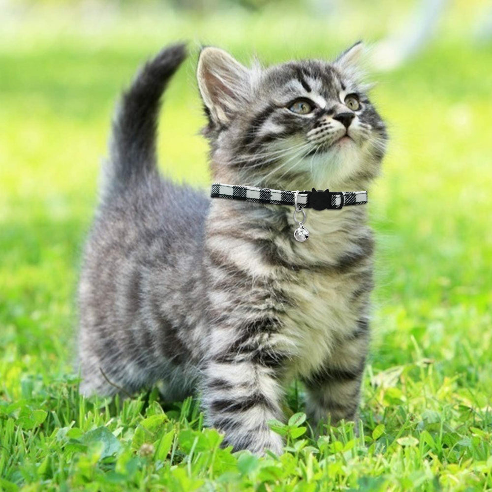 MJIYA collar neck measurement guide showing how to ensure proper fit.