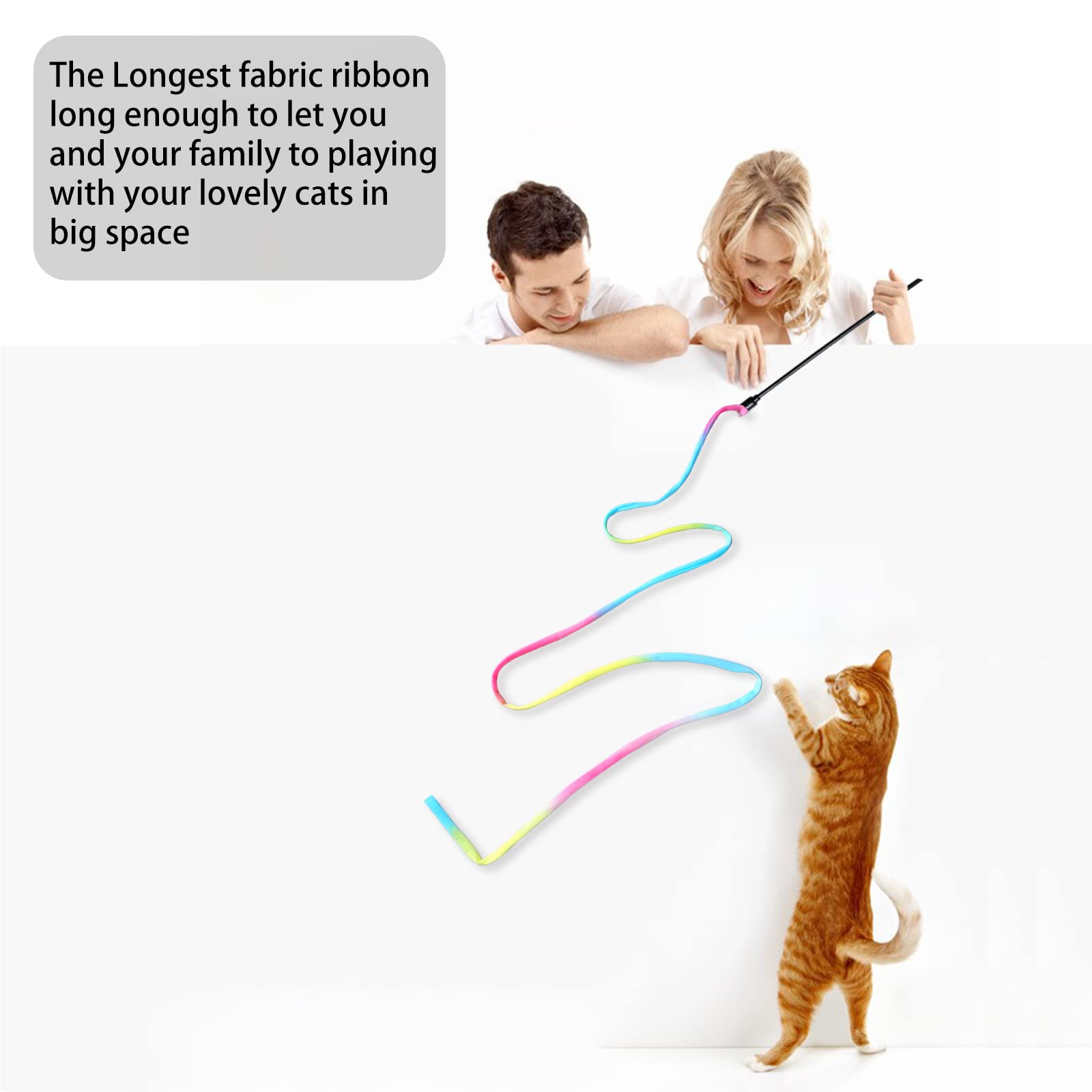 M JJYPET interactive toy set engages a curious indoor cat.