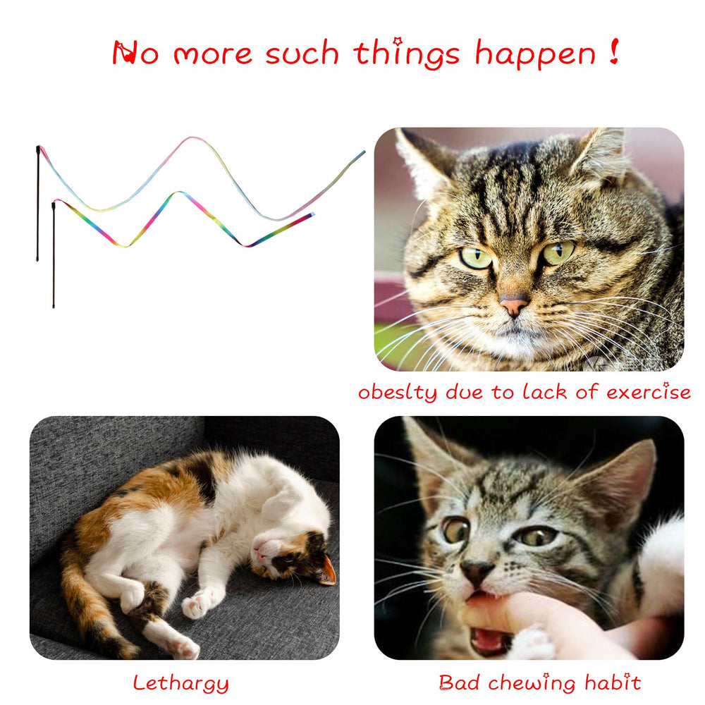 M JJYPET cat wand in use during playtime by a happy cat.