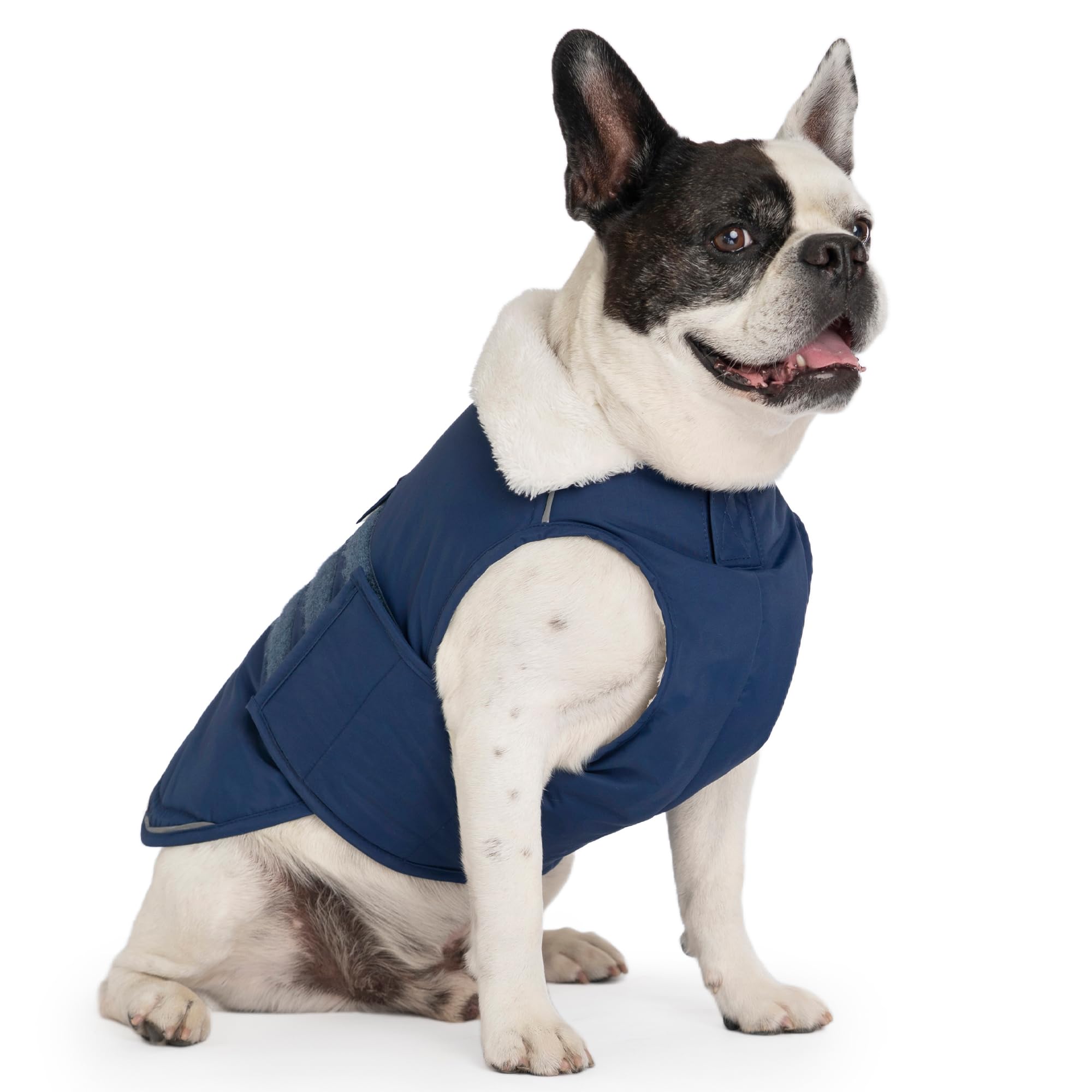 Mklhgty Blue winter dog coat in use during a brisk winter walk.