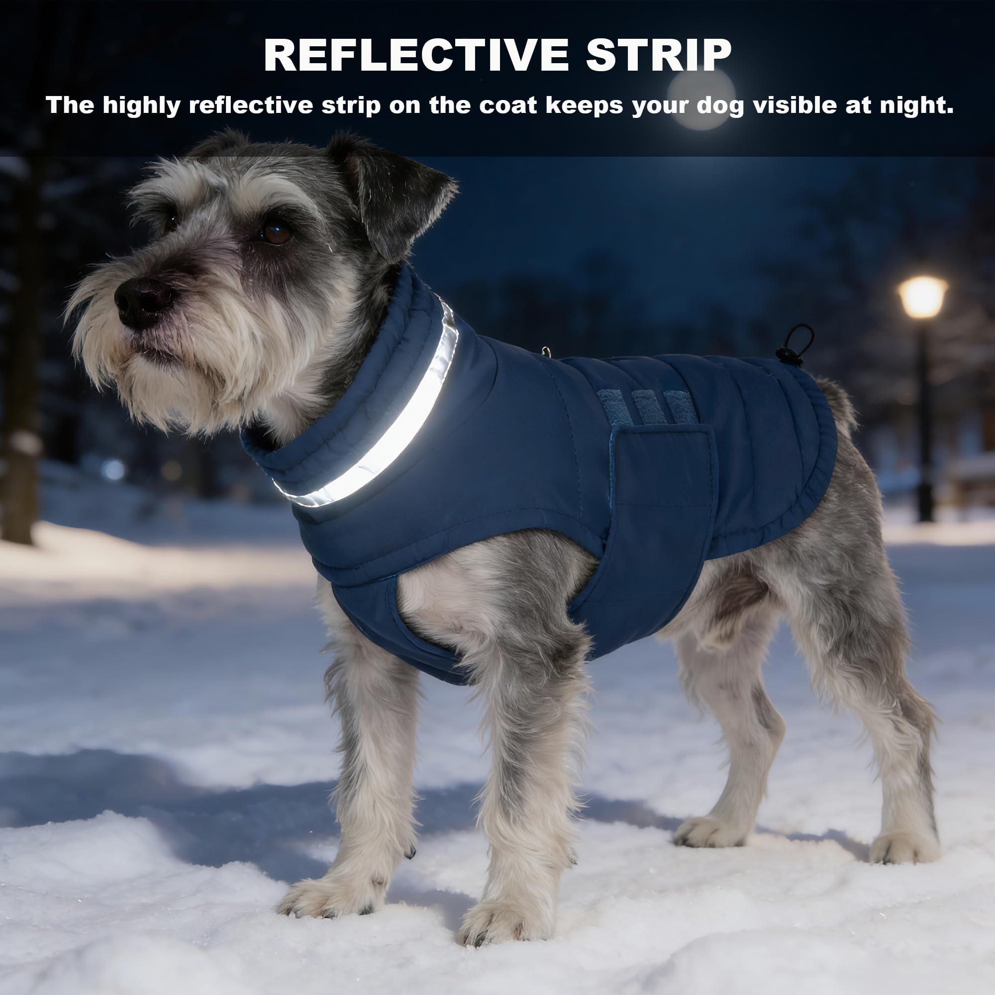 Mklhgty dog coat elegant design in blue for outdoor adventures and daily outings