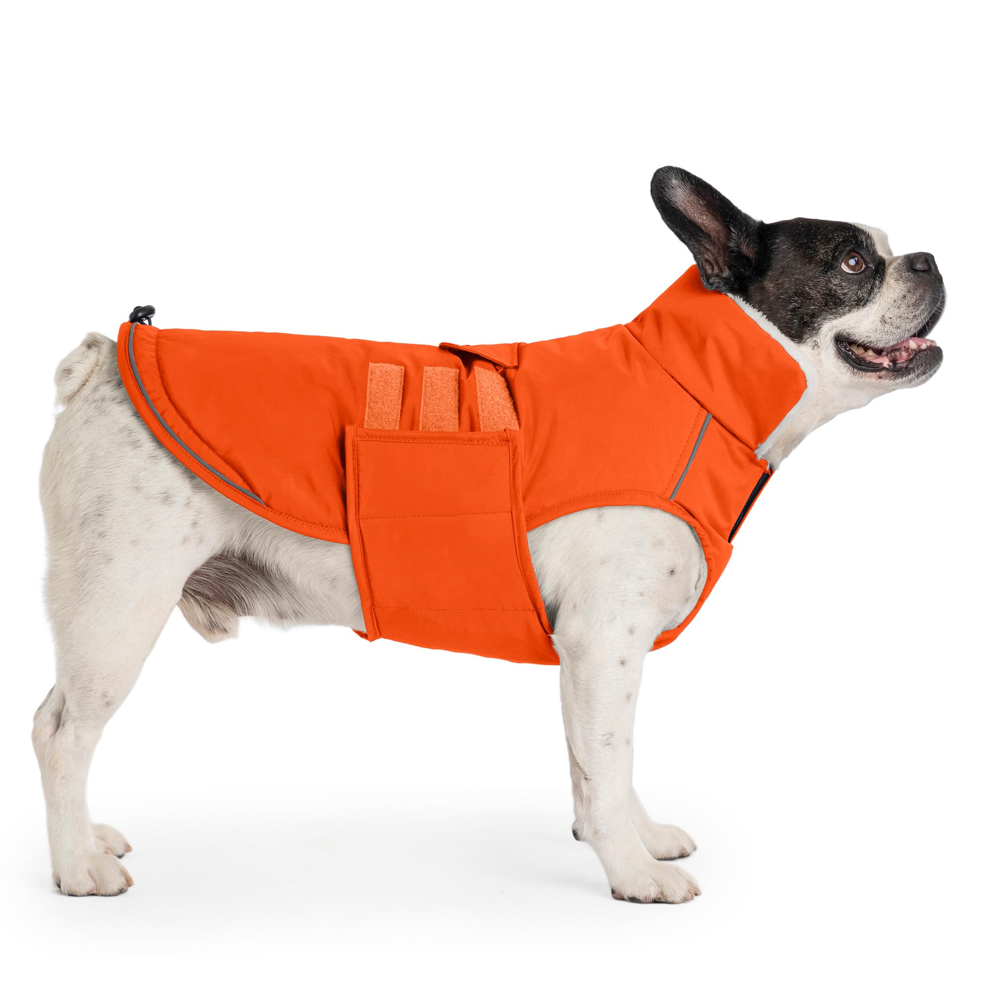 Mklhgty Extra Warm Dog Coat dog in snow shows orange visibility.