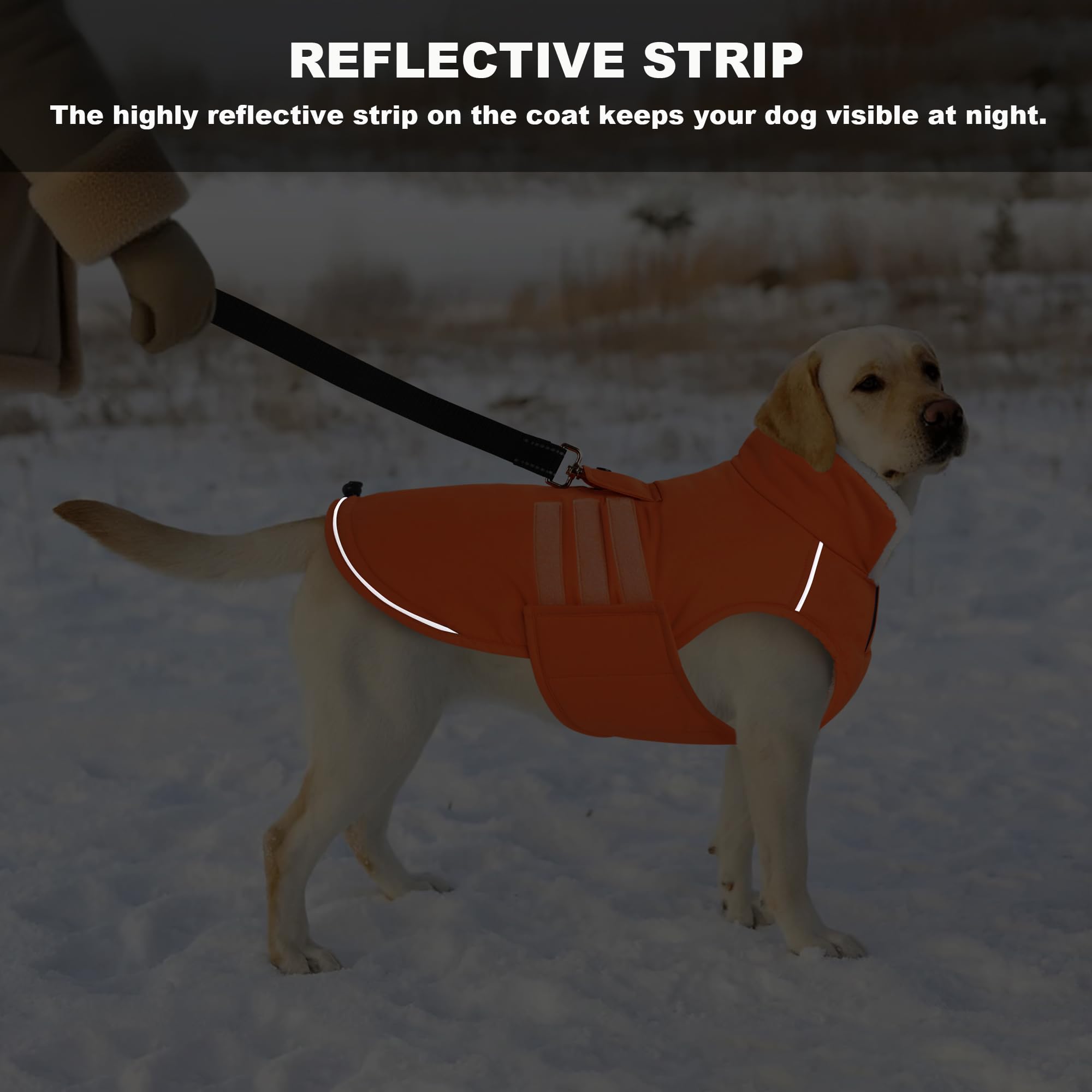 Mklhgty Extra Warm Dog Coat reflective trim improves visibility at night.
