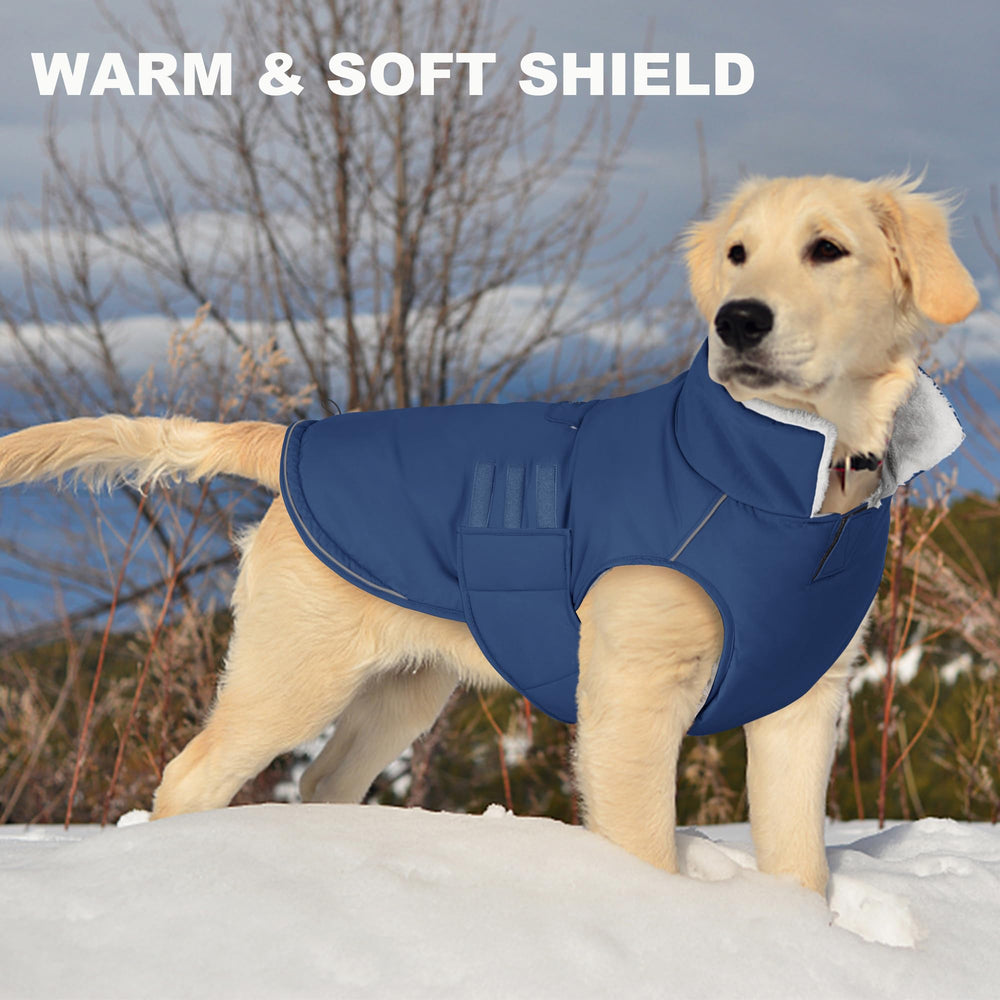 Mklhgty Four-size range jacket accommodates small to large dogs.