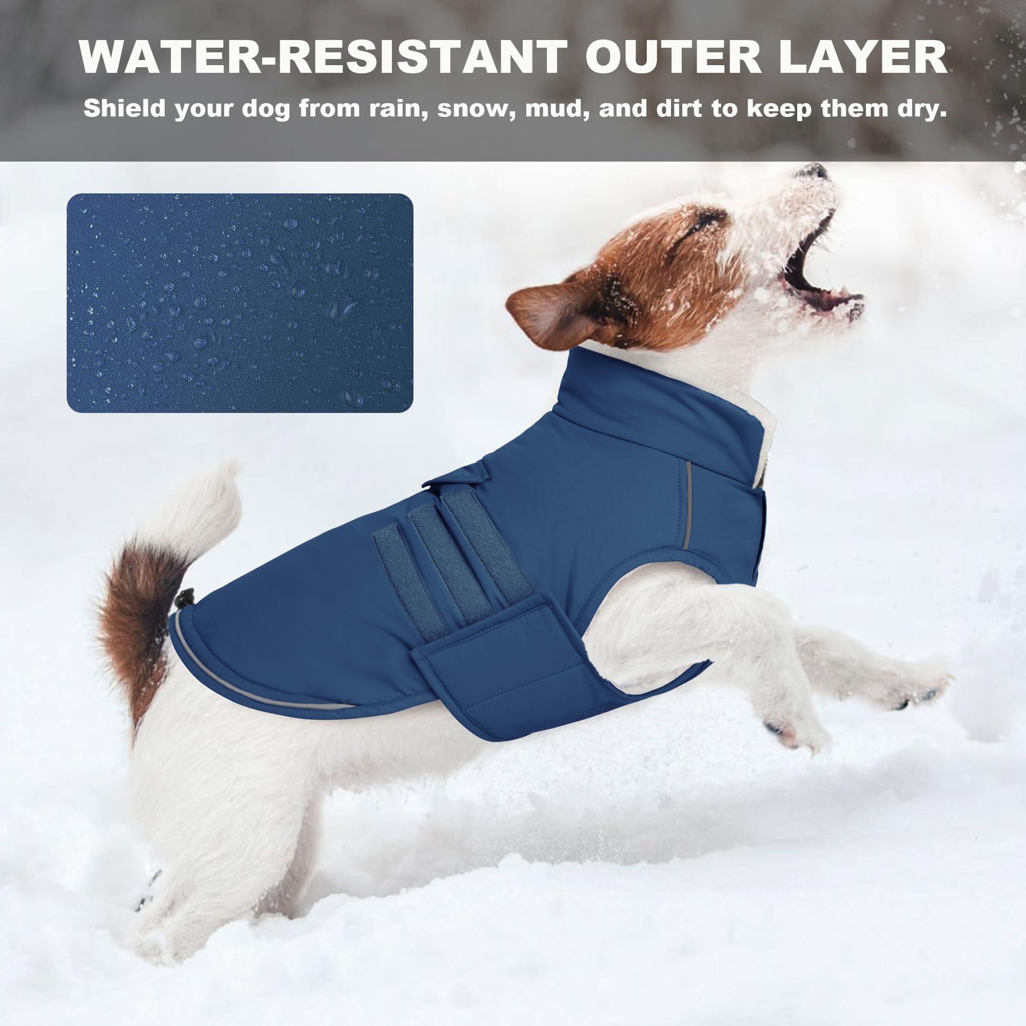 Mklhgty Leash portal back design on jacket for easy harness integration.