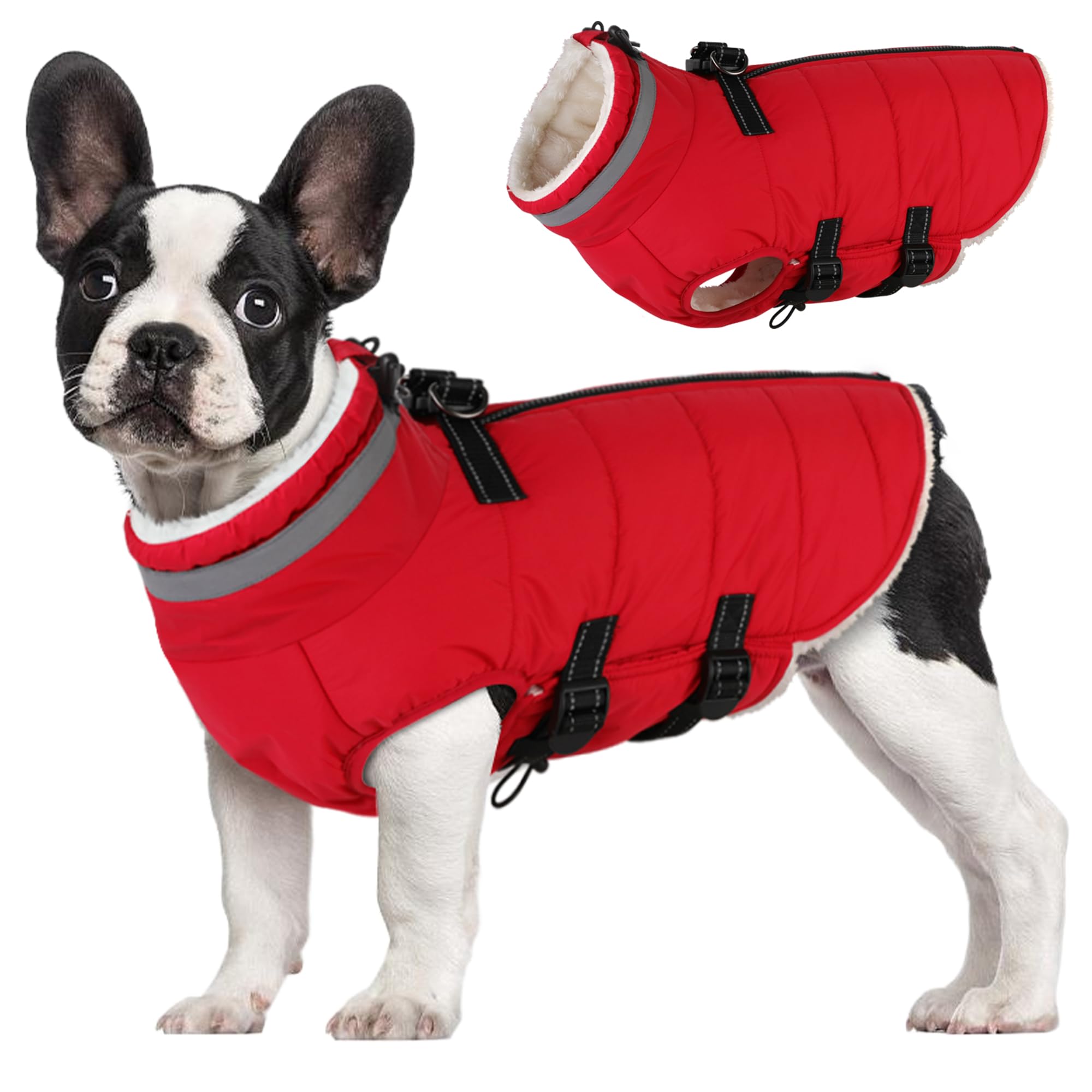 Mklhgty small-dog-coat with built-in harness for easy on/off during park walks.