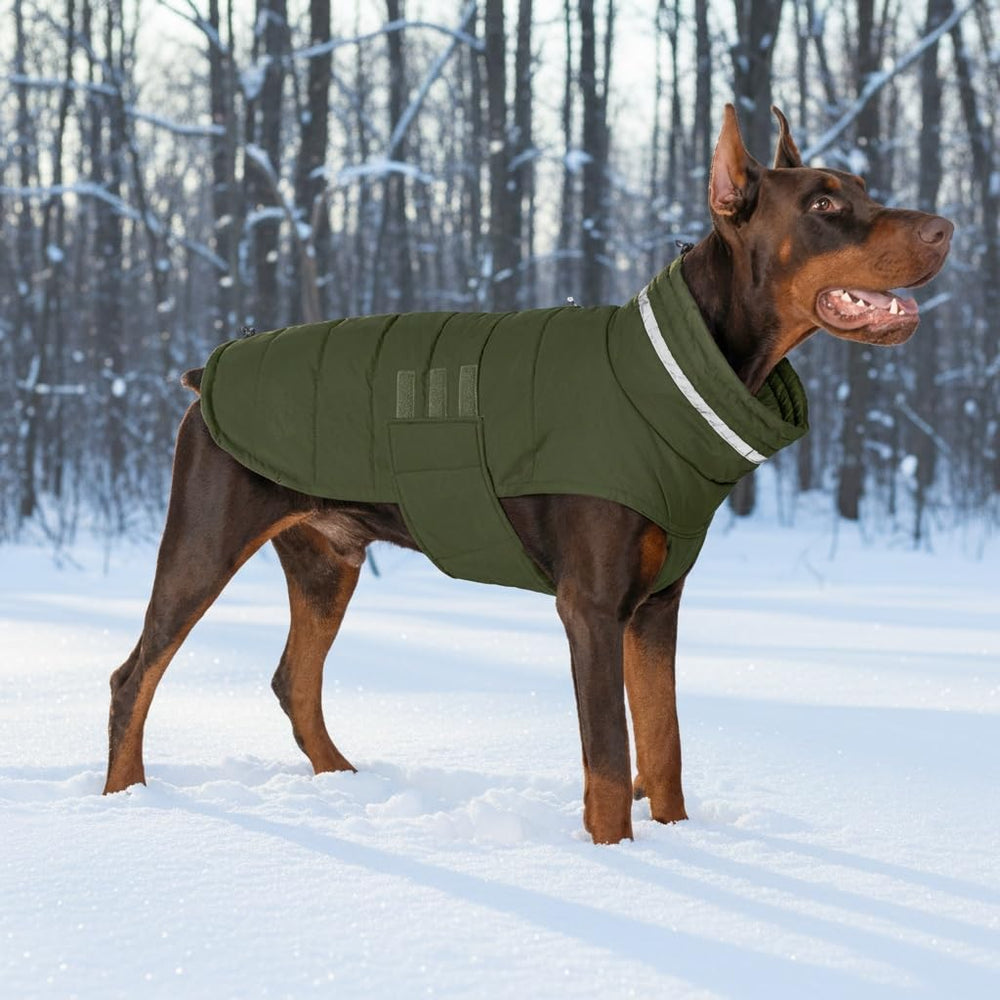 Mklhgty stylish green dog jacket suits daily strolls and outings.