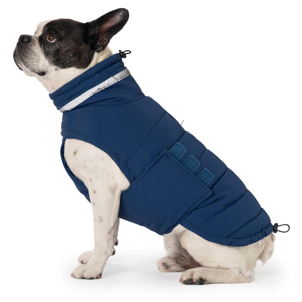 Mklhgty waterproof dog coat blue back view offers all-weather warmth.