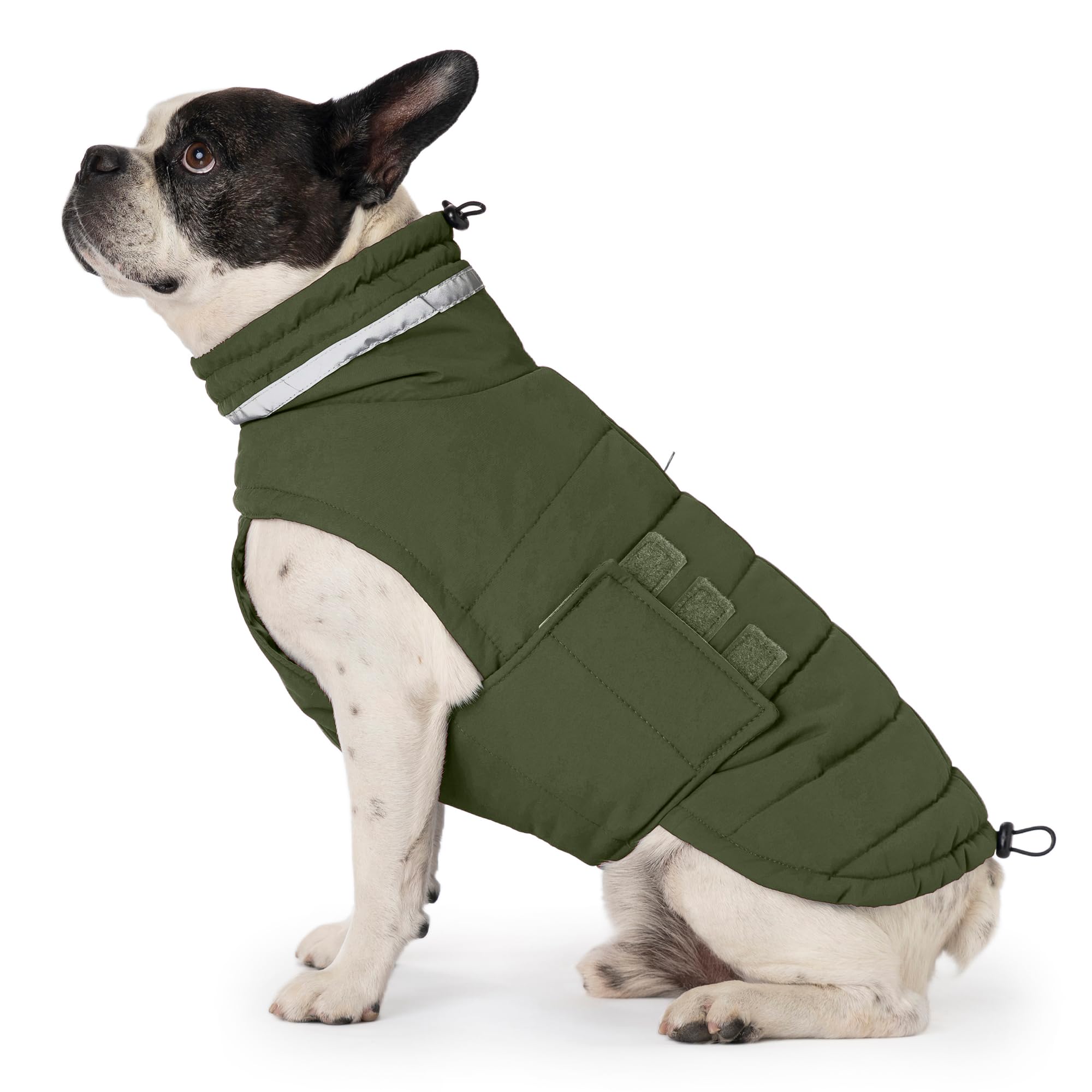 Mklhgty waterproof dog coat with durable fabric keeps medium dogs dry in rain.
