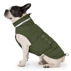 Mklhgty waterproof dog coat with durable fabric keeps medium dogs dry in rain.