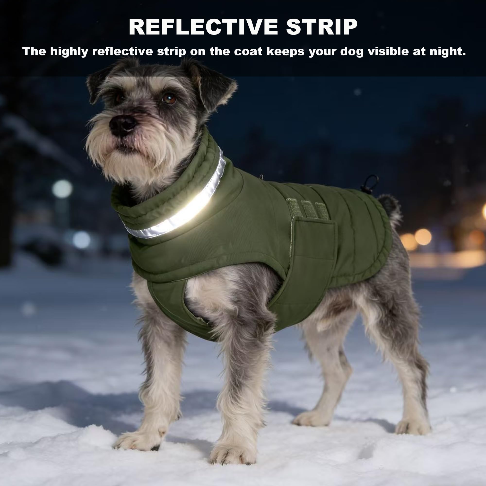 Mklhgty windproof winter jacket helps your dog brave windy walks.