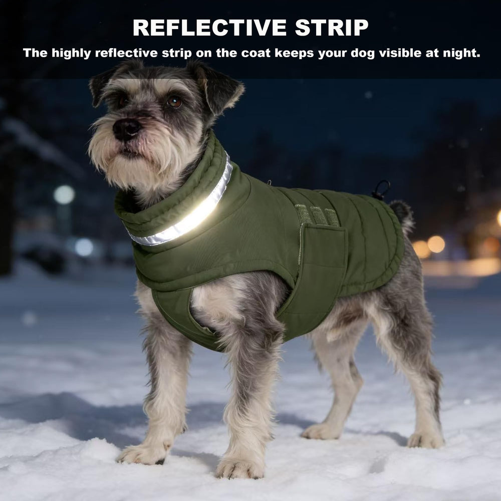 Mklhgty windproof winter jacket helps your dog brave windy walks.