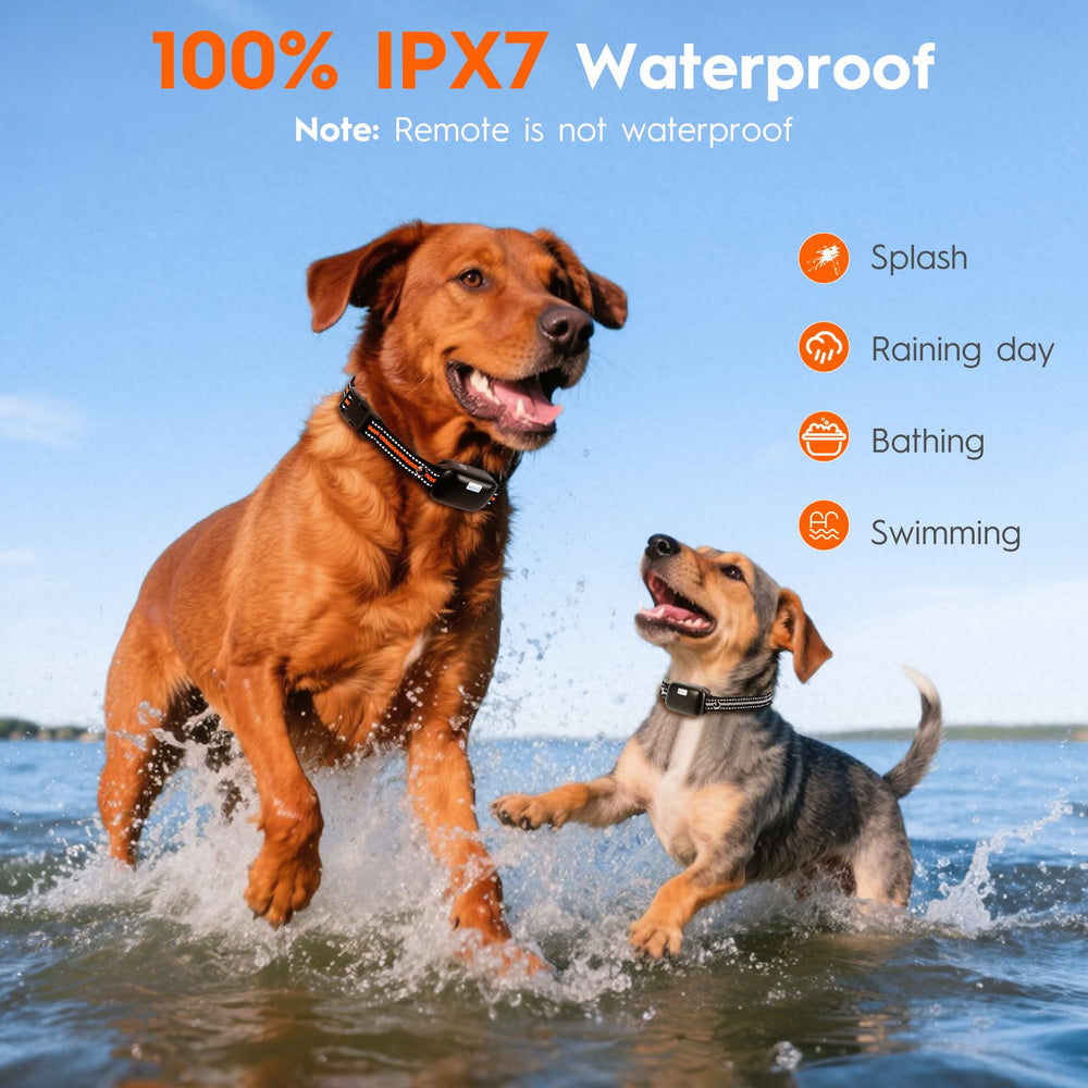 MKZ ultralight receiver stays comfortable on dogs during long workouts