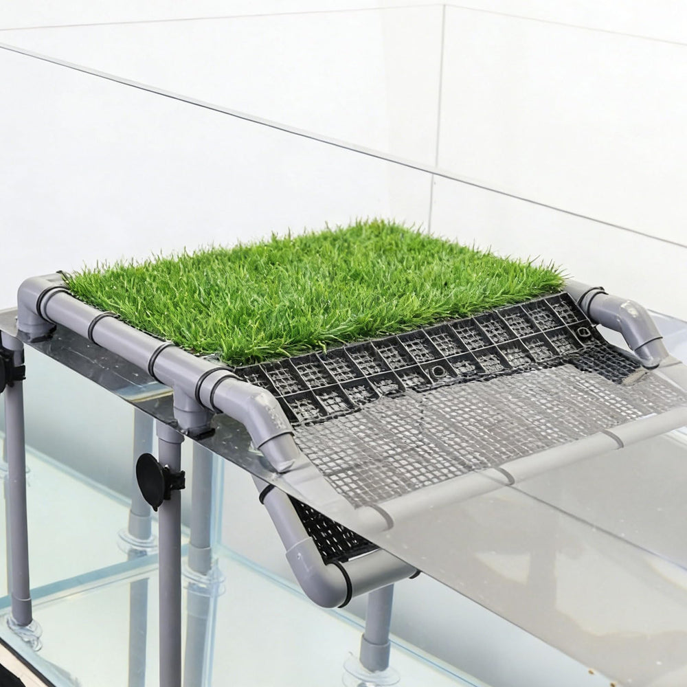 MLONDHSU turtle basking platform eight suction cups secure stable placement.