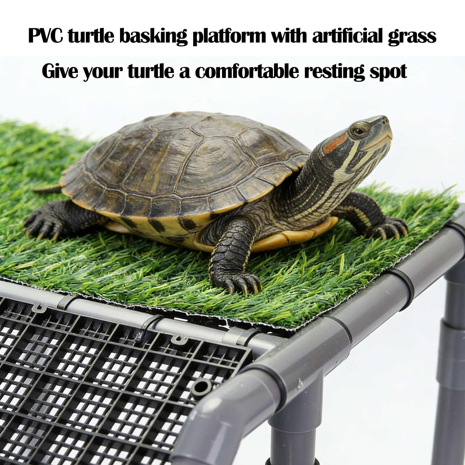 MLONDHSU turtle basking platform ramp closeup highlights easy climb.