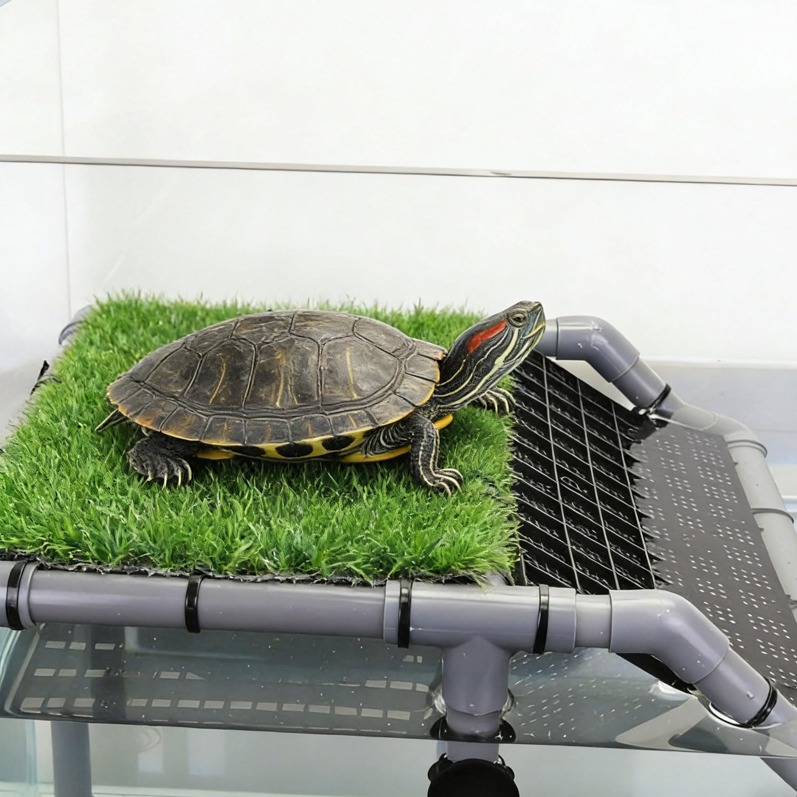 MLONDHSU turtle basking platform side view emphasizes sturdy PVC frame and suction cups.
