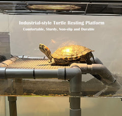 MLONDHSU turtle basking platform suction cups securing to tank surface