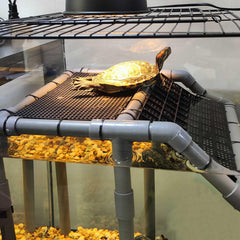 MLONDHSU turtle platform side view demonstrates stable suction-base for secure setup.