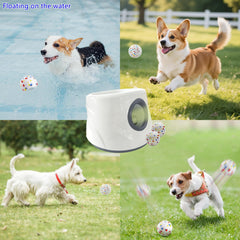 Mloowa auto ball launcher side view for portable indoor/outdoor play.