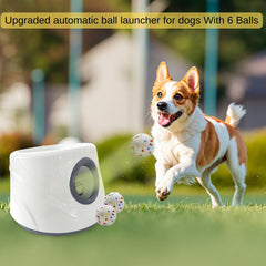 Mloowa ball launcher in use with dog enjoying outdoor fetch.