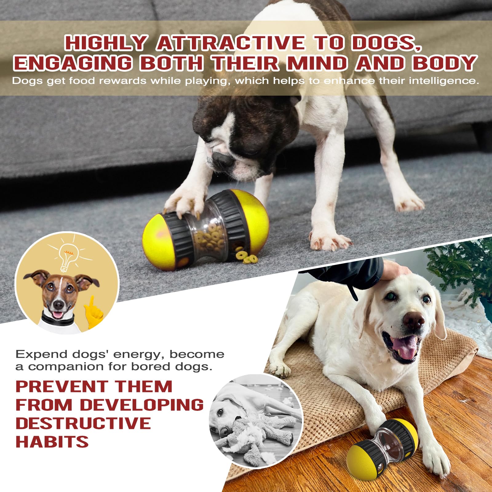 Mloowa sniffing and pawing puzzle design invites foraging and problem-solving.