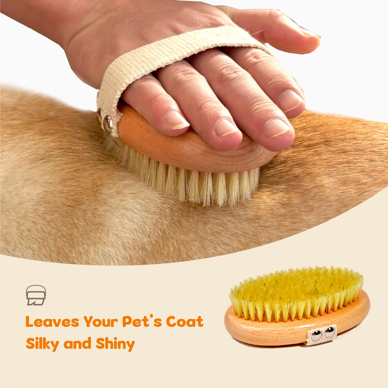 MLQGKUZ bristles distribute natural oils for a shiny conditioned coat