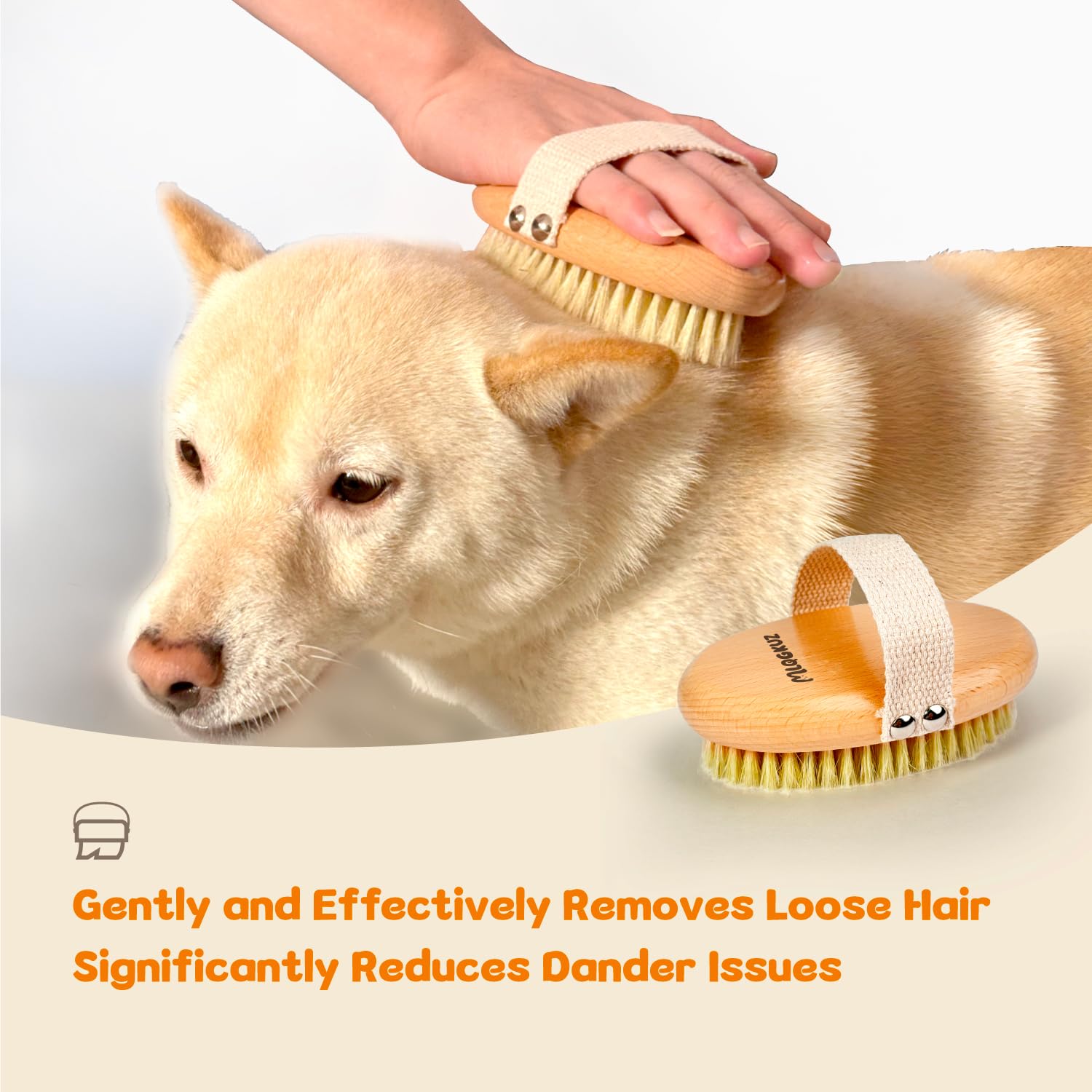 MLQGKUZ packaging image shows included brush and satisfaction guarantee