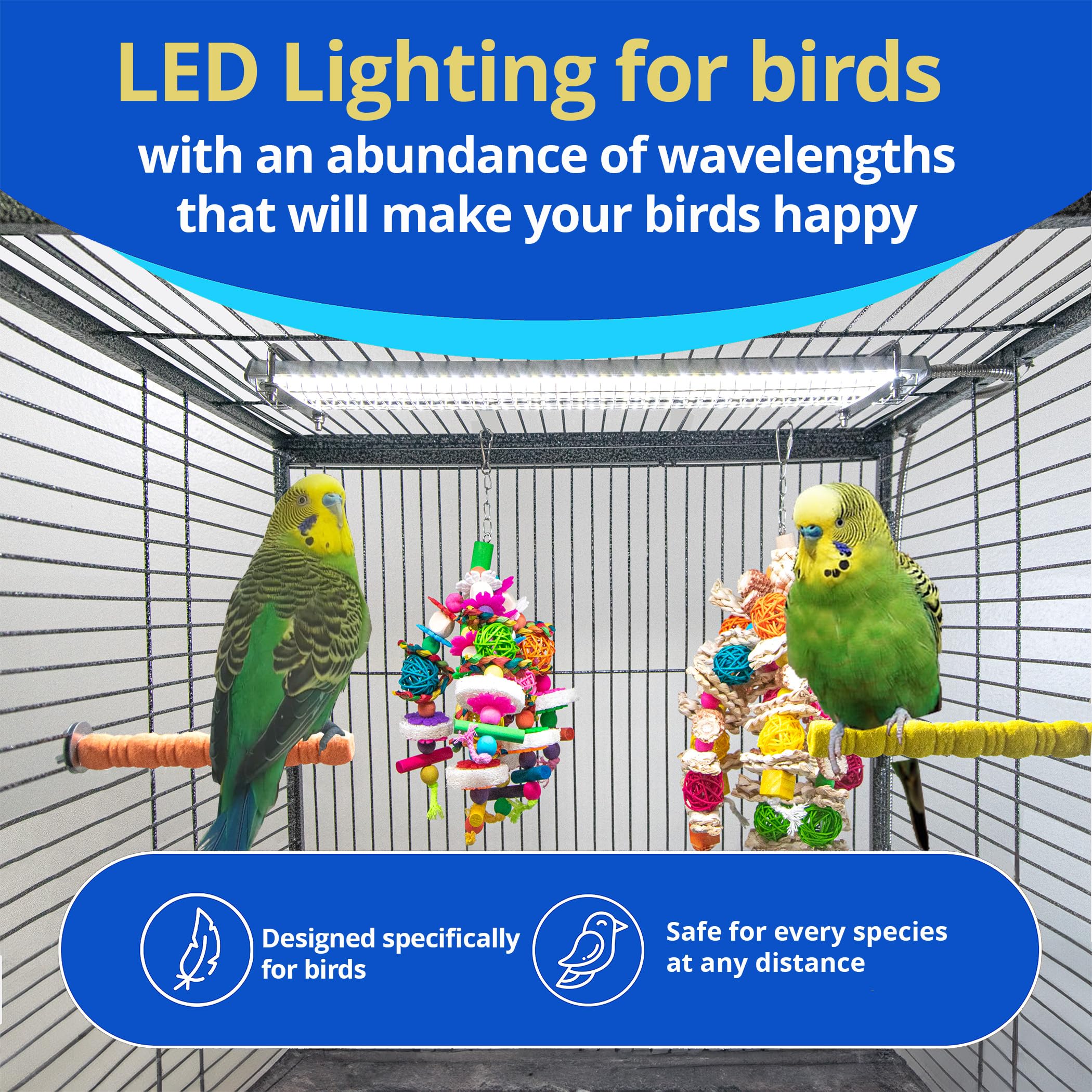 M&M Cage HappBird chew-guard close-up shows durable bird-safe design.