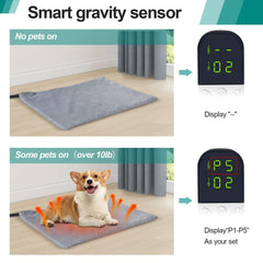 M MIMMU induction vs regular mode switch for larger and smaller pets