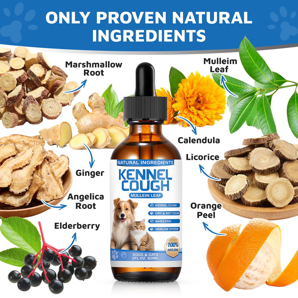 MNQAXZ cat cough treatment liquid highlighting gentle relief for feline coughing.