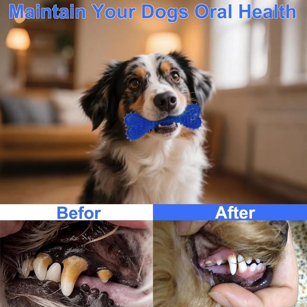 Mnubsrva woven-flyer enhances outdoor fetch and energy release