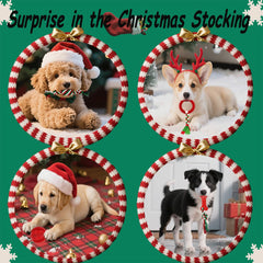 Mnubsrva spiky-dental-ball; textured surface aids chewing and mind engagement.