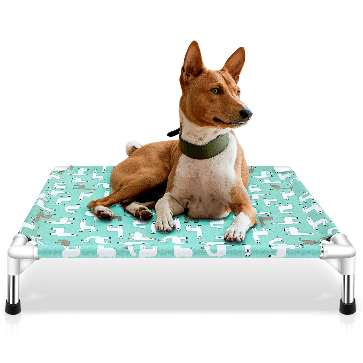 Modorki elevated dog bed frame with sturdy build for indoors and outdoors