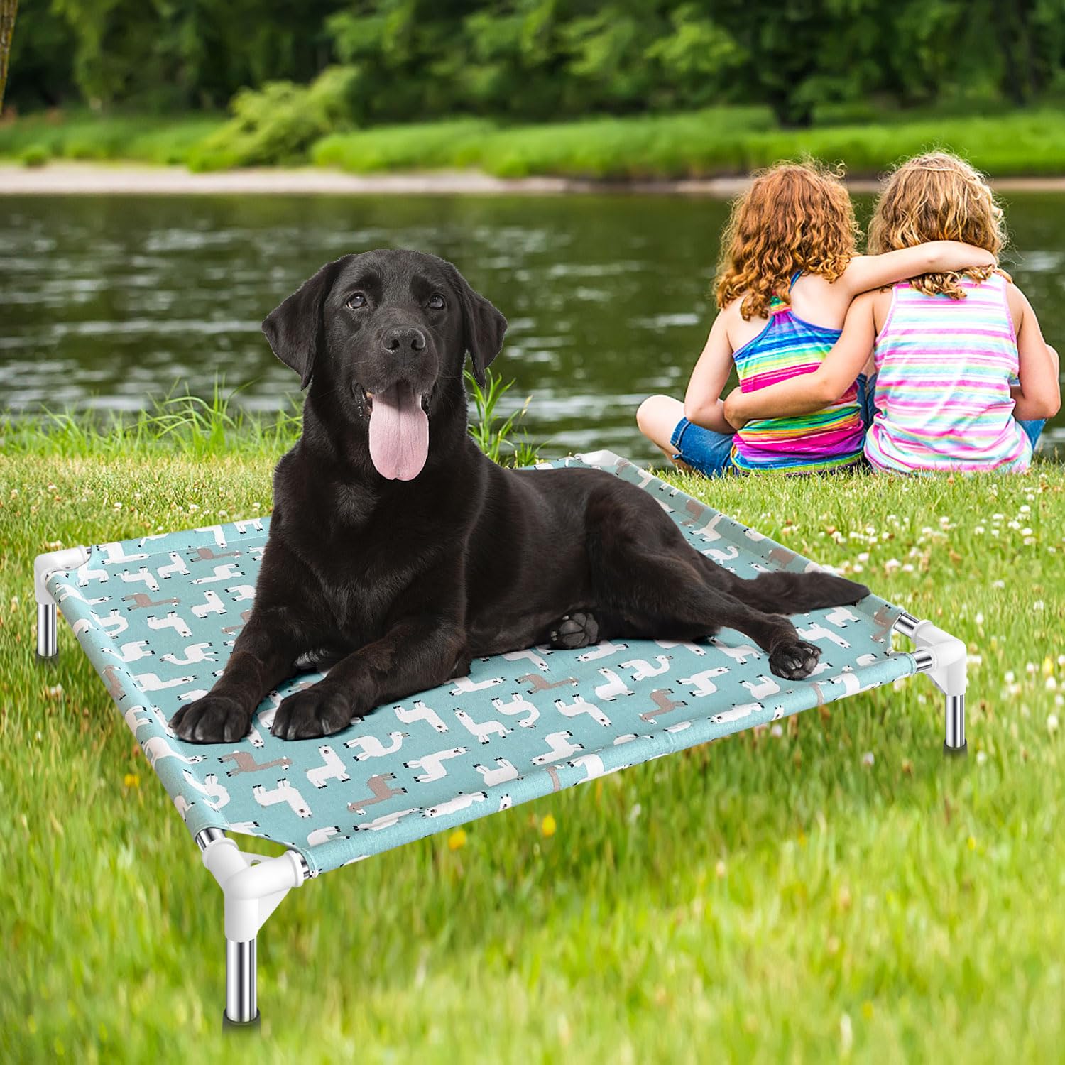 Modorki elevated dog bed packed for travel showing portable design